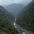 平菁街42巷櫻花.大坪尾山.尾崙山.大石閣小水準點.烏來福山櫻花.猴洞尖.鹿鵠崙 296