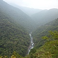 平菁街42巷櫻花.大坪尾山.尾崙山.大石閣小水準點.烏來福山櫻花.猴洞尖.鹿鵠崙 298