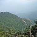 平菁街42巷櫻花.大坪尾山.尾崙山.大石閣小水準點.烏來福山櫻花.猴洞尖.鹿鵠崙 193