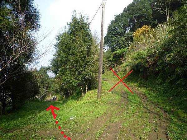 平菁街42巷櫻花.大坪尾山.尾崙山.大石閣小水準點.烏來福山櫻花.猴洞尖.鹿鵠崙 229