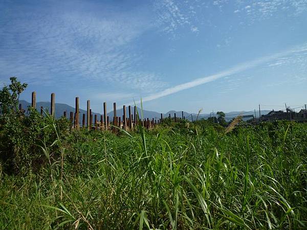 八仙、中八仙跡時未遇 051