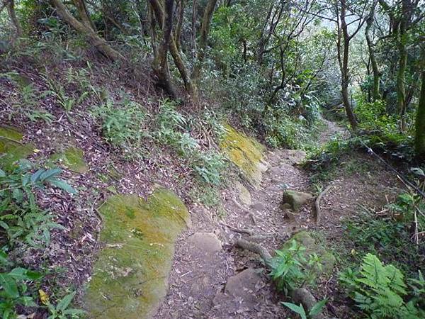 南機場臭老闆蒸臭豆腐.五城山、太極嶺賞櫻花 078