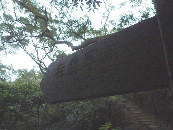 南機場臭老闆蒸臭豆腐.五城山、太極嶺賞櫻花 086