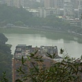 碧湖山.金面山.剪刀石山.公館自來水博物館河津櫻 055