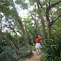 碧湖山.金面山.剪刀石山.公館自來水博物館河津櫻 058