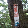 碧湖山.金面山.剪刀石山.公館自來水博物館河津櫻 059