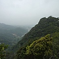 碧湖山.金面山.剪刀石山.公館自來水博物館河津櫻 082