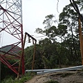 碧湖山.金面山.剪刀石山.公館自來水博物館河津櫻 091