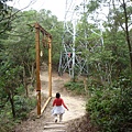 碧湖山.金面山.剪刀石山.公館自來水博物館河津櫻 096