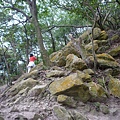 碧湖山.金面山.剪刀石山.公館自來水博物館河津櫻 099