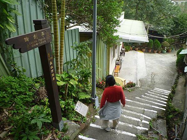 碧湖山.金面山.剪刀石山.公館自來水博物館河津櫻 127