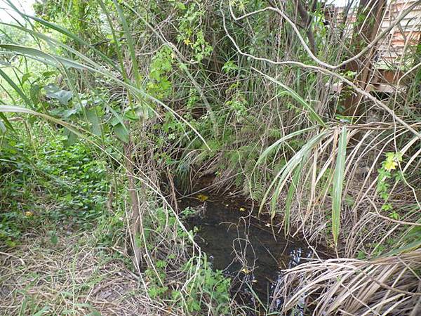 東華山.八仙.中八仙 027