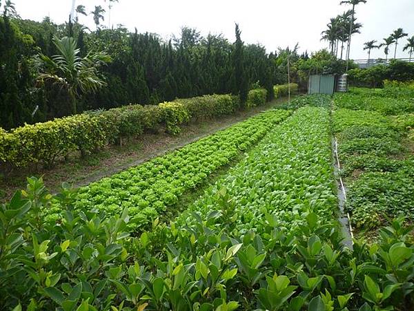 東華山.八仙.中八仙 054