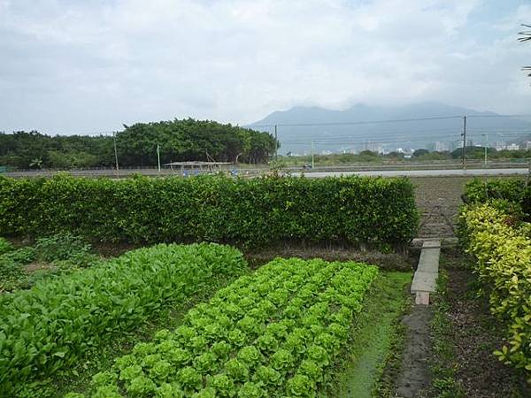 東華山.八仙.中八仙 069