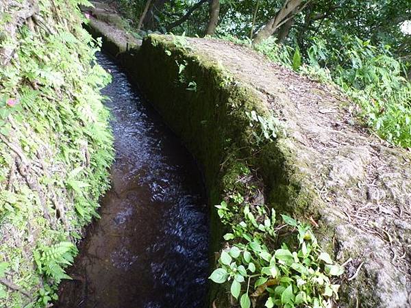 狗殷勤古道 041