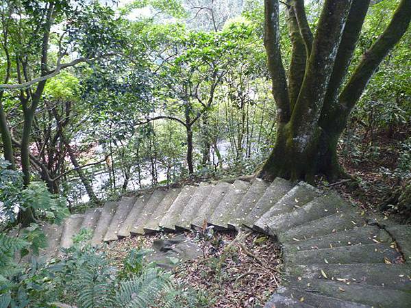 大坑埔山.鳥嘴尖.紅淡山 038