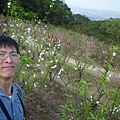 木柵國小御大禮記念樹.樟樹步道魯冰花.老泉里杏花林.樟湖山 054