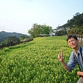 木柵國小御大禮記念樹.樟樹步道魯冰花.老泉里杏花林.樟湖山 074