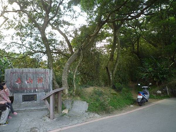 木柵國小御大禮記念樹.樟樹步道魯冰花.老泉里杏花林.樟湖山 090