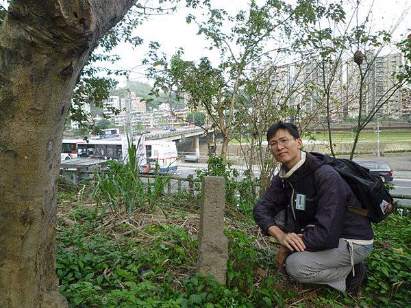 木柵國小御大禮記念樹.樟樹步道魯冰花.老泉里杏花林.樟湖山 022