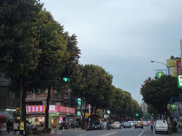 中華路二段土芒果大道 037