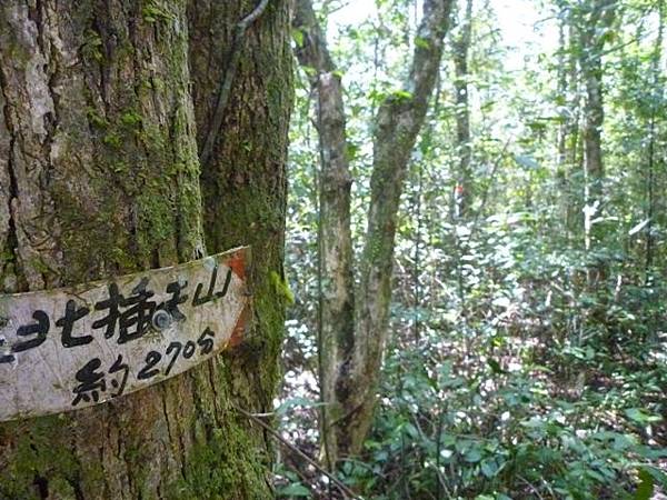 林望眼山.林望眼山西峰.馬岸古圳步道 074