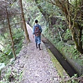 林望眼山.林望眼山西峰.馬岸古圳步道 111