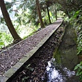 林望眼山.林望眼山西峰.馬岸古圳步道 113