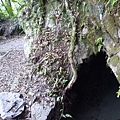 林望眼山.林望眼山西峰.馬岸古圳步道 115