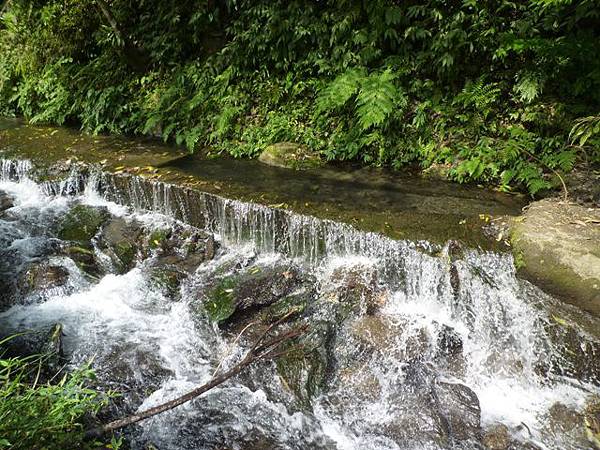 林望眼山.林望眼山西峰.馬岸古圳步道 144