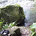 林望眼山.林望眼山西峰.馬岸古圳步道 156