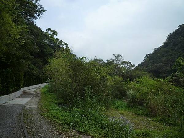 林望眼山.林望眼山西峰.馬岸古圳步道 165