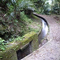 林望眼山.林望眼山西峰.馬岸古圳步道 168