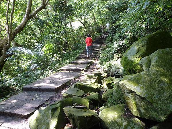 林梢步道.觀因山二等基磐.牛埔山.牛埔尾山未遇 056