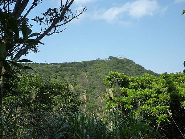 林梢步道.觀因山二等基磐.牛埔山.牛埔尾山未遇 061