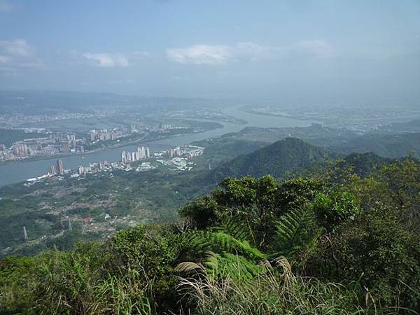 林梢步道.觀因山二等基磐.牛埔山.牛埔尾山未遇 093