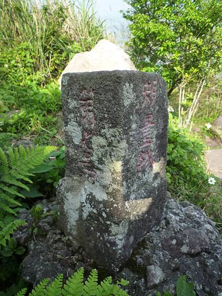 林梢步道.觀因山二等基磐.牛埔山.牛埔尾山未遇 100