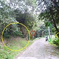 林梢步道.觀因山二等基磐.牛埔山.牛埔尾山未遇 130