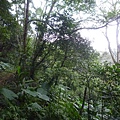 林梢步道.觀因山二等基磐.牛埔山.牛埔尾山未遇 135