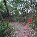 林梢步道.觀因山二等基磐.牛埔山.牛埔尾山未遇 137