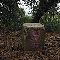 林梢步道.觀因山二等基磐.牛埔山.牛埔尾山未遇 151