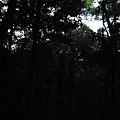 林梢步道.觀因山二等基磐.牛埔山.牛埔尾山未遇 158