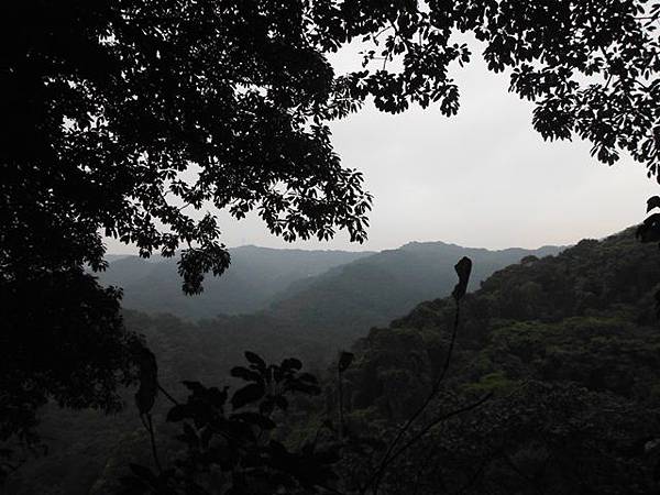 林梢步道.觀因山二等基磐.牛埔山.牛埔尾山未遇 159