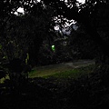 林梢步道.觀因山二等基磐.牛埔山.牛埔尾山未遇 162