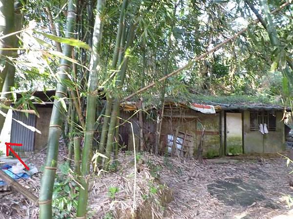 福安山.四分尾山.九層坪山.大尖山賞櫻 015