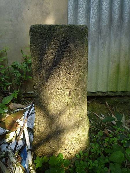 福安山.四分尾山.九層坪山.大尖山賞櫻 019