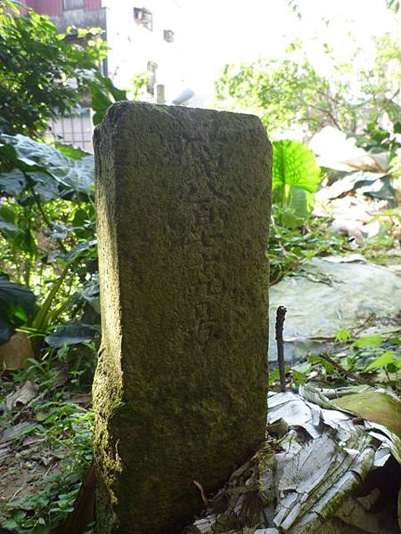 福安山.四分尾山.九層坪山.大尖山賞櫻 021