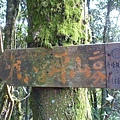 福安山.四分尾山.九層坪山.大尖山賞櫻 055