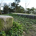 福安山.四分尾山.九層坪山.大尖山賞櫻 065