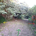 福安山.四分尾山.九層坪山.大尖山賞櫻 094